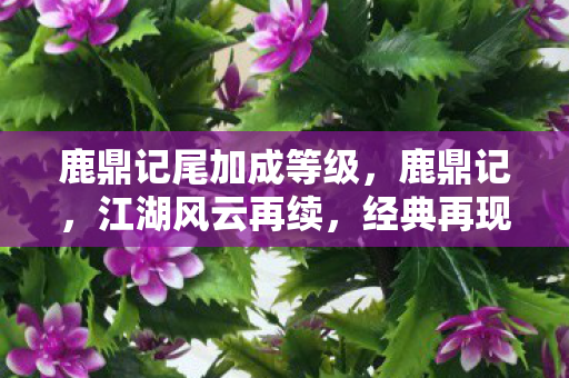 鹿鼎记尾加成等级，鹿鼎记，江湖风云再续，经典再现新篇章