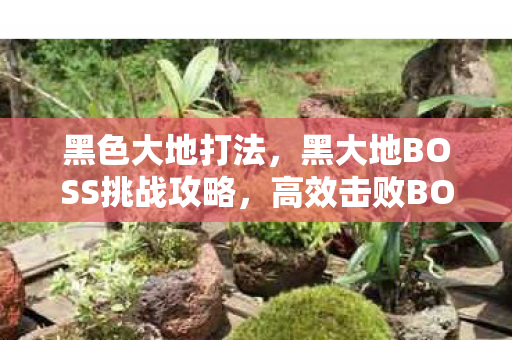 黑色大地打法，黑大地BOSS挑战攻略，高效击败BOSS的实战策略