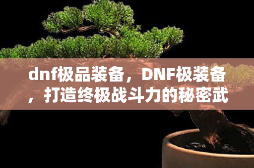 dnf极品装备，DNF极装备，打造终极战斗力的秘密武器