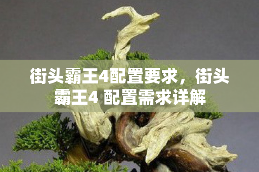 街头霸王4配置要求，街头霸王4 配置需求详解