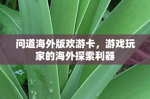 问道海外版欢游卡,游戏玩家的海外探索利器 问道海外版欢游卡,游戏玩家的海外探索利器