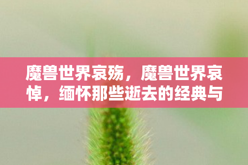 魔兽世界哀殇，魔兽世界哀悼，缅怀那些逝去的经典与回忆