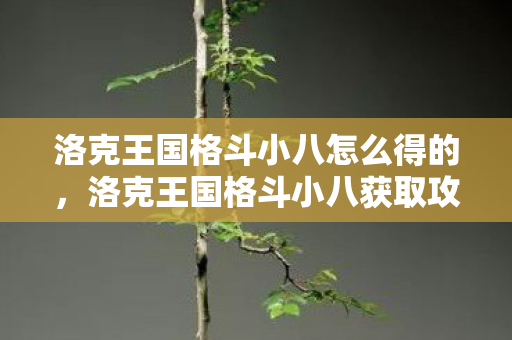 洛克王国格斗小八怎么得的，洛克王国格斗小八获取攻略