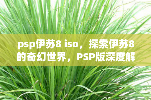 psp伊苏8 iso,探索伊苏8的奇幻世界,PSP版深度解析 psp伊苏8 iso,探索伊苏8的奇幻世界,PSP版深度解析