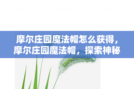 摩尔庄园魔法帽怎么获得,摩尔庄园魔法帽,探索神秘世界的钥匙 摩尔庄园魔法帽怎么获得,摩尔庄园魔法帽,探索神秘世界的钥匙