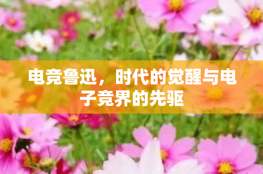 电竞鲁迅,时代的觉醒与电子竞界的先驱 电竞鲁迅,时代的觉醒与电子竞界的先驱