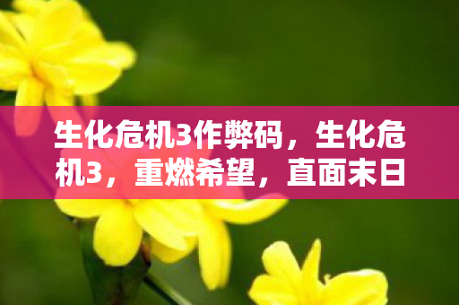 生化危机3作弊码，生化危机3，重燃希望，直面末日的挑战
