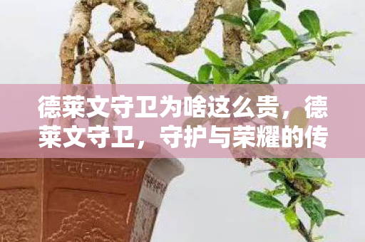 德莱文守卫为啥这么贵，德莱文守卫，守护与荣耀的传奇