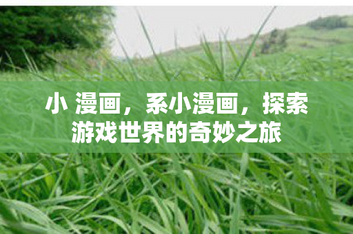 小 漫画，系小漫画，探索游戏世界的奇妙之旅