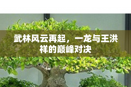 武林风云再起,一龙与王洪祥的巅峰对决 武林风云再起,一龙与王洪祥的巅峰对决