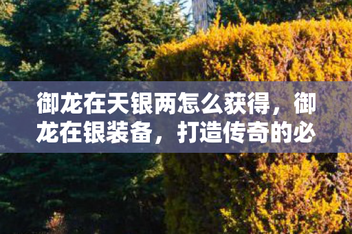 御龙在天银两怎么获得,御龙在银装备,打造传奇的必备神器 御龙在天银两怎么获得,御龙在银装备,打造传奇的必备神器