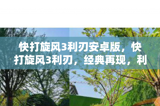 快打旋风3利刃安卓版，快打旋风3利刃，经典再现，利刃出鞘