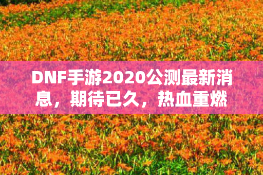 DNF手游2020公测最新消息,期待已久,热血重燃 DNF手游2020公测最新消息,期待已久,热血重燃