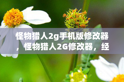 怪物猎人2g手机版修改器，怪物猎人2G修改器，经典游戏的辅助神器