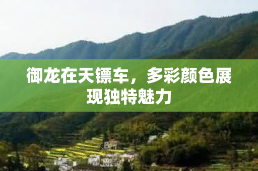 御龙在天镖车,多彩颜色展现独特魅力 御龙在天镖车,多彩颜色展现独特魅力