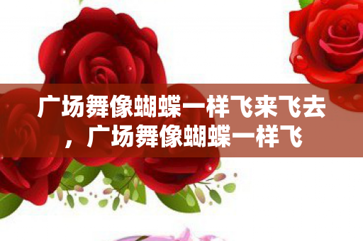 广场舞像蝴蝶一样飞来飞去，广场舞像蝴蝶一样飞