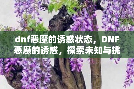 dnf恶魔的诱惑状态，DNF恶魔的诱惑，探索未知与挑战极限的冒险之旅