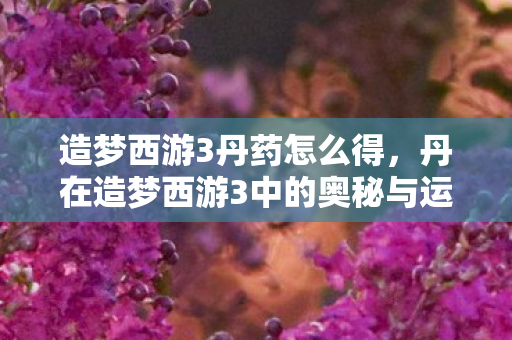 造梦西游3丹药怎么得,丹在造梦西游3中的奥秘与运用 造梦西游3丹药怎么得,丹在造梦西游3中的奥秘与运用