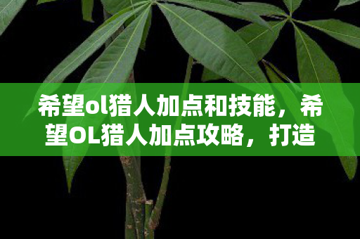 希望ol猎人加点和技能，希望OL猎人加点攻略，打造高效输出与生存能力