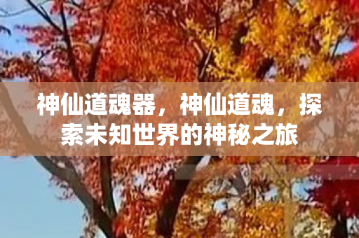 神仙道魂器，神仙道魂，探索未知世界的神秘之旅