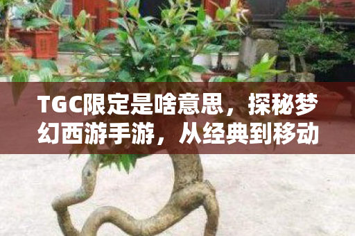 TGC限定是啥意思，探秘梦幻西游手游，从经典到移动端的华丽转身