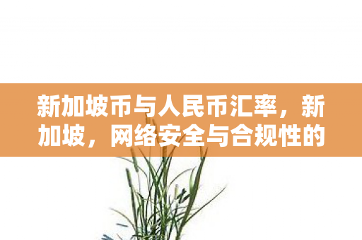 新加坡币与人民币汇率,新加坡,网络安全与合规性的典范 新加坡币与人民币汇率,新加坡,网络安全与合规性的典范