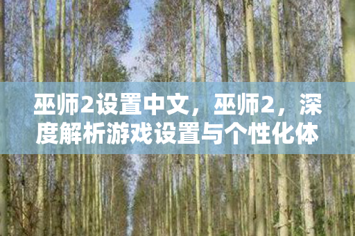 巫师2设置中文,巫师2,深度解析游戏设置与个性化体验 巫师2设置中文,巫师2,深度解析游戏设置与个性化体验