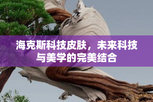 海克斯科技皮肤,未来科技与美学的完美结合 海克斯科技皮肤,未来科技与美学的完美结合
