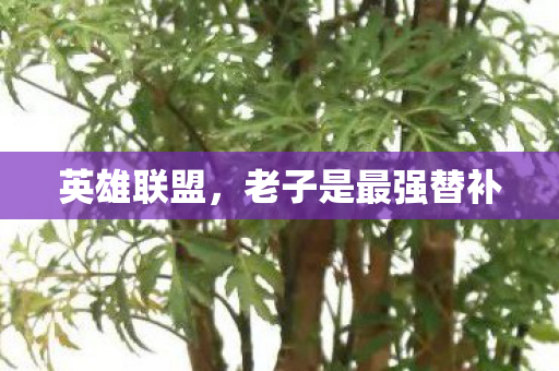 英雄联盟,老子是最强替补 英雄联盟,老子是最强替补