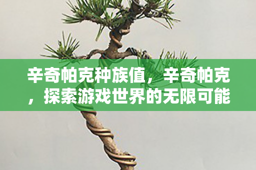 辛奇帕克种族值,辛奇帕克,探索游戏世界的无限可能 辛奇帕克种族值,辛奇帕克,探索游戏世界的无限可能