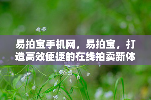 易拍宝手机网,易拍宝,打造高效便捷的在线拍卖新体验 易拍宝手机网,易拍宝,打造高效便捷的在线拍卖新体验