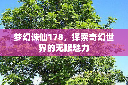 梦幻诛仙178,探索奇幻世界的无限魅力 梦幻诛仙178,探索奇幻世界的无限魅力
