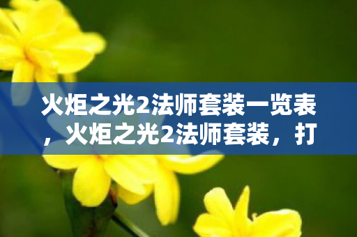 火炬之光2法师套装一览表,火炬之光2法师套装,打造法师的终极力量 火炬之光2法师套装一览表,火炬之光2法师套装,打造法师的终极力量