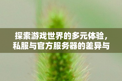 探索游戏世界的多元体验，私服与官方服务器的差异与共存