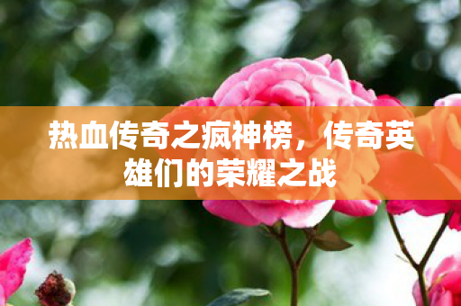 热血传奇之疯神榜,传奇英雄们的荣耀之战 热血传奇之疯神榜,传奇英雄们的荣耀之战