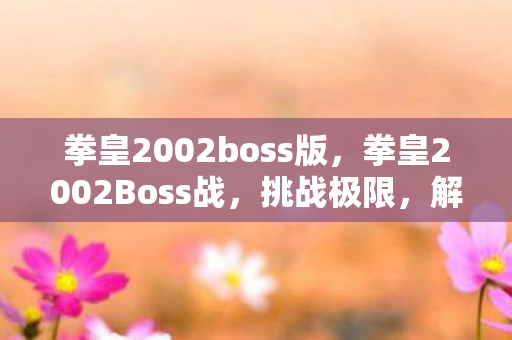 拳皇2002boss版，拳皇2002Boss战，挑战极限，解锁隐藏技能