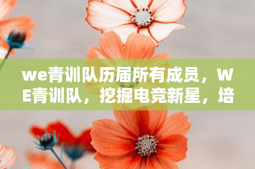 we青训队历届所有成员,WE青训队,挖掘电竞新星,培养未来之星 we青训队历届所有成员,WE青训队,挖掘电竞新星,培养未来之星