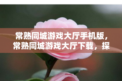 常熟同城游戏大厅手机版,常熟同城游戏大厅下载,探索本地游戏新体验 常熟同城游戏大厅手机版,常熟同城游戏大厅下载,探索本地游戏新体验