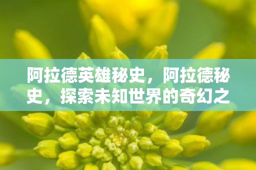 阿拉德英雄秘史，阿拉德秘史，探索未知世界的奇幻之旅
