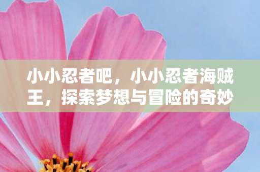 小小忍者吧,小小忍者海贼王,探索梦想与冒险的奇妙之旅 小小忍者吧,小小忍者海贼王,探索梦想与冒险的奇妙之旅