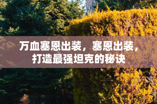 万血塞恩出装，塞恩出装，打造最强坦克的秘诀