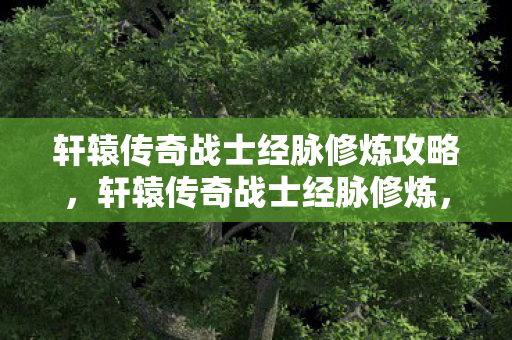 轩辕传奇战士经脉修炼攻略,轩辕传奇战士经脉修炼,提升战斗力的关键路径 轩辕传奇战士经脉修炼攻略,轩辕传奇战士经脉修炼,提升战斗力的关键路径