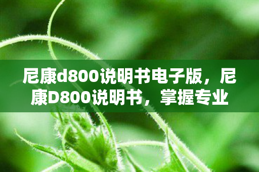尼康d800说明书电子版,尼康D800说明书,掌握专业摄影的钥匙 尼康d800说明书电子版,尼康D800说明书,掌握专业摄影的钥匙