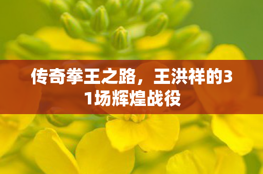 传奇拳王之路,王洪祥的31场辉煌战役 传奇拳王之路,王洪祥的31场辉煌战役