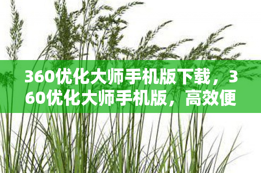 360优化大师手机版下载,360优化大师手机版,高效便捷的手机性能优化工具 360优化大师手机版下载,360优化大师手机版,高效便捷的手机性能优化工具