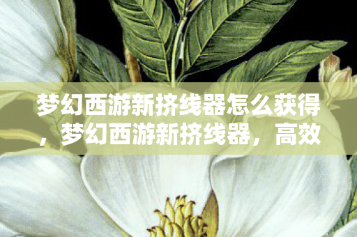 梦幻西游新挤线器怎么获得，梦幻西游新挤线器，高效便捷，重塑游戏体验