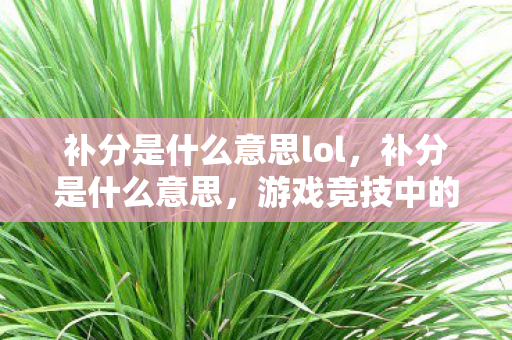补分是什么意思lol,补分是什么意思,游戏竞技中的积分补偿机制 补分是什么意思lol,补分是什么意思,游戏竞技中的积分补偿机制