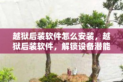 越狱后装软件怎么安装，越狱后装软件，解锁设备潜能，但需谨慎操作