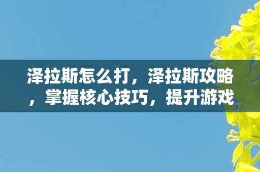 泽拉斯怎么打,泽拉斯攻略,掌握核心技巧,提升游戏实力 泽拉斯怎么打,泽拉斯攻略,掌握核心技巧,提升游戏实力