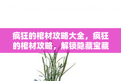 疯狂的棺材攻略大全,疯狂的棺材攻略,解锁隐藏宝藏与神秘彩蛋 疯狂的棺材攻略大全,疯狂的棺材攻略,解锁隐藏宝藏与神秘彩蛋